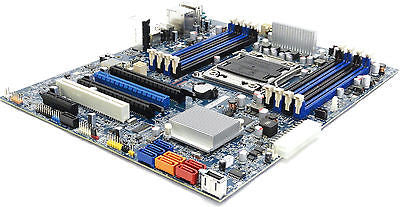 tomoページ Amazon | ライブディオ ライブDIO ZX AF34/AF35 シート 本体 黒
