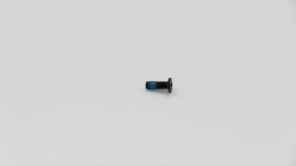 Lenovo ideapad 300-17ISK / B71-80 SCREW MM2.5D7.0LKTZK L80QH 5S10K61894