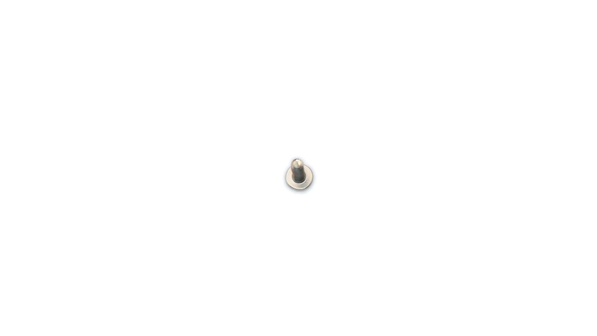 Lenovo Legion Y540-17IRH / Legion Y540-17IRH-PG0 Screw M 2.0*7 L 81Q4 5S10S35114